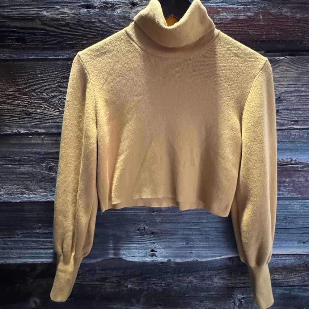 Women's Aritzia Turtleneck Crop Sweater